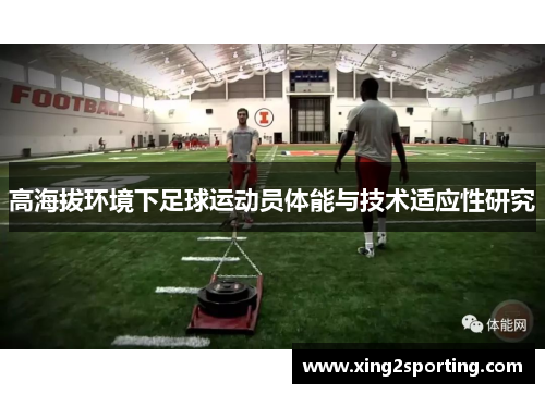 高海拔环境下足球运动员体能与技术适应性研究